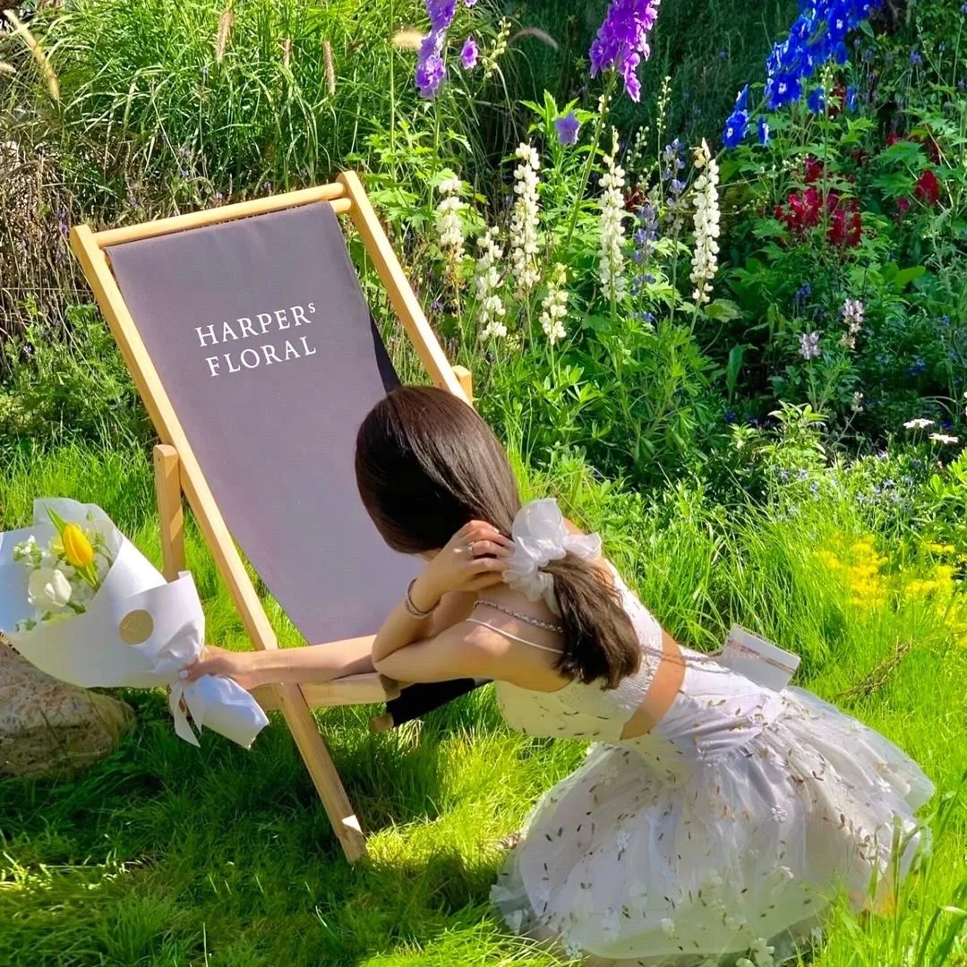 弗兰肯斯坦和吸血鬼：月黑风高夜